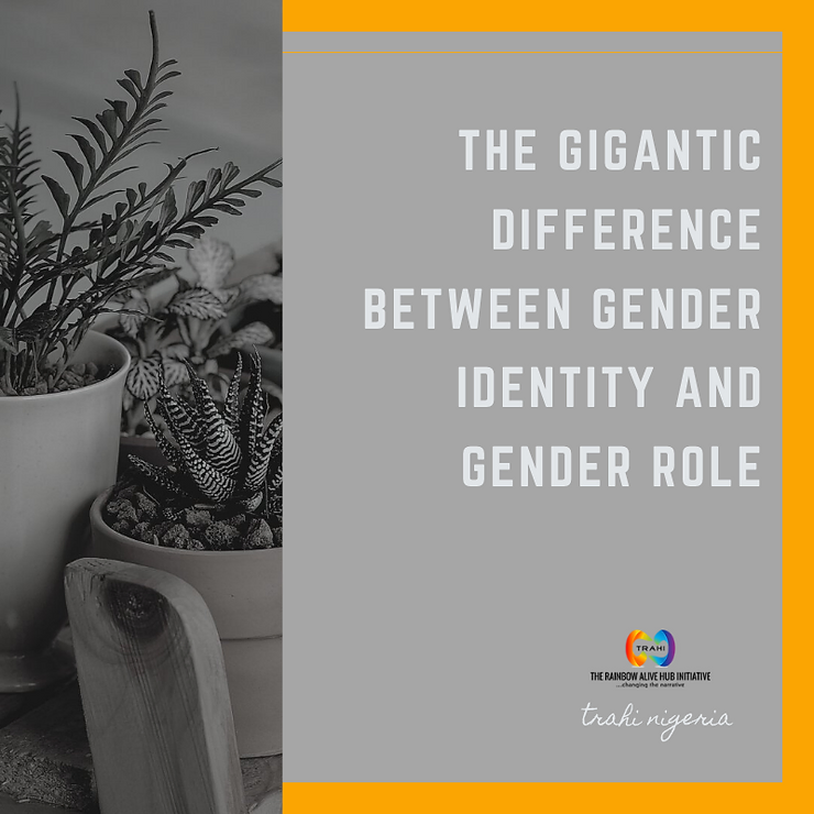 The Gigantic Difference Between Gender Identity and Gender Role
